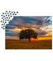 Puzzle da 1000 Pezzi - Leaves Eclipse
