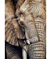Puzzle da 1000 Pezzi - Ancestral Patterns