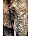 Puzzle da 1000 Pezzi - Ancestral Patterns