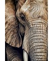 Puzzle da 1000 Pezzi - Ancestral Patterns