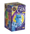 THE MOON ACADEMY MAGIC CATS COLLECTION DISPLAY 12