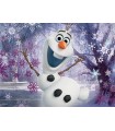 4 Puzzle in 1 - Frozen