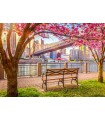 Puzzle da 500 Pezzi - New York, USA