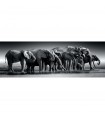 Puzzle da 1000 Pezzi Panorama - Herd of Giants