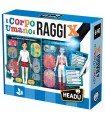 Il Corpo Umano a Raggi X