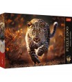 Puzzle da 1000 Pezzi Premium Plus - Photo Odyssey: Wild Leopard