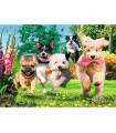 Puzzle da 1000 Pezzi - Premium Plus - Tea Time: Here Comes Trouble!