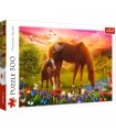 Puzzle da 500 Pezzi - Horses in the Meadow