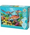 Cobble Hill (350 pezzi) - Molokini Current 