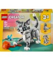 Creator - Gatto Giocoso