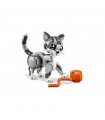 Creator - Gatto Giocoso