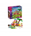 Friends - Il Parco Giochi dei Porcellini d'India