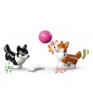 Friends - Avventure Canine su Windskate e Sidecar