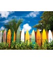 Puzzle da 1000 Pezzi - Surfer's Paradise Hawaii