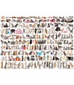 Puzzle da 1000 Pezzi - The World of Cats