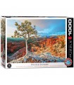 Puzzle da 1000 Pezzi - Winter Sunrise