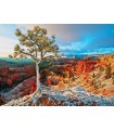 Puzzle da 1000 Pezzi - Winter Sunrise