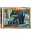 Puzzle da 1000 Pezzi - Kevin Daniel: New Discoveries by Daniel