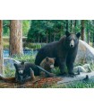 Puzzle da 1000 Pezzi - Kevin Daniel: New Discoveries by Daniel