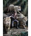 Puzzle da 1000 Pezzi - Ann Stokes: The Power of Three by A.Stokes