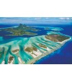 Puzzle da 1000 Pezzi - Coral Reef