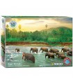 Puzzle da 1000 Pezzi - Rainforest