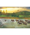 Puzzle da 1000 Pezzi - Rainforest