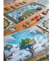 Planta Nubo