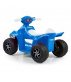 Polizia Di Stato Quad 6V CE