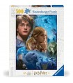 Puzzle da 500 Pezzi - Harry Potter e il Calice di Fuoco