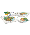 Evergreen - Gioco di Strategia 1-4 Giocatori, Card Drafting, Costruisci il Tuo Ecosistema Verde in 45 Minuti - Ghenos Games