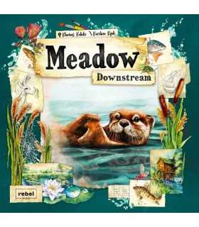 Meadow Downstream