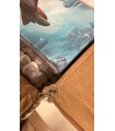 Sleeping Gods - Distant Skies - Collector's Edition - danneggiato