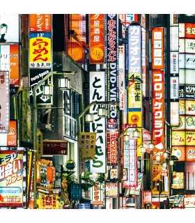 Immagine Puzzle finito