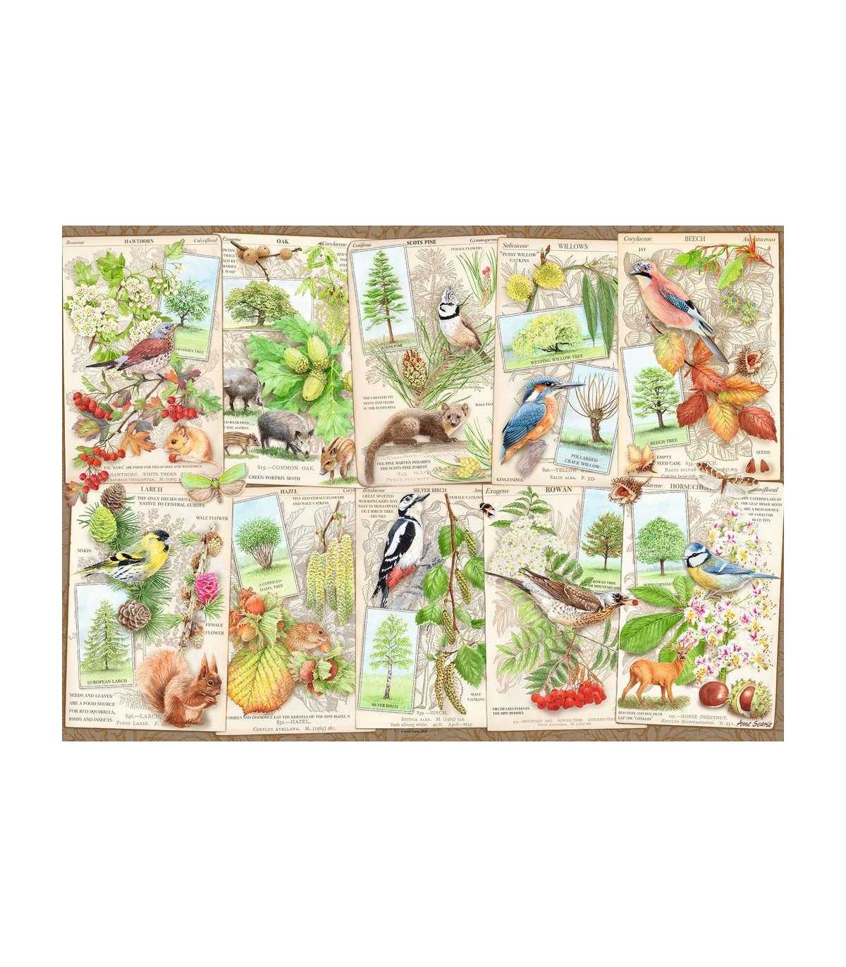 empireposter Puzzle da 2000 pezzi in formato 67,6 x 96,8 cm