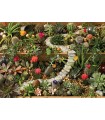 Immagine Puzzle finito