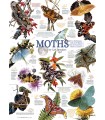 Immagine Puzzle finito