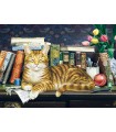 Immagine Puzzle finito