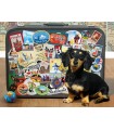 Immagine Puzzle finito