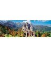 Immagine Puzzle finito