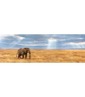 Immagine Puzzle finito