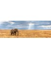 Immagine Puzzle finito