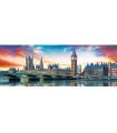 Immagine Puzzle finito