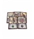 Darwin's Journey - Espansione Mini Animal Companion - 6 Carte Strategiche per Gioco da 1-4 Giocatori - Ghenos Games