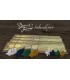 Darwin's Journey - Espansione Falmouth Port - Gioco da Tavolo in Italiano - 1-4 Giocatori, 90 Minuti di Avventura e Strategia