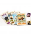 Great Western Trail - Argentina | Gioco da Tavolo Strategico per 1-4 Giocatori | Avventura nella Pampa con Voto GYF 8.6