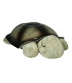 Twilight Turtle Classic