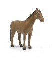  Cavallo assortito