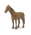  Cavallo assortito