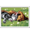 CreArt - Serie E: Cane E Gatto Dolce Sonno